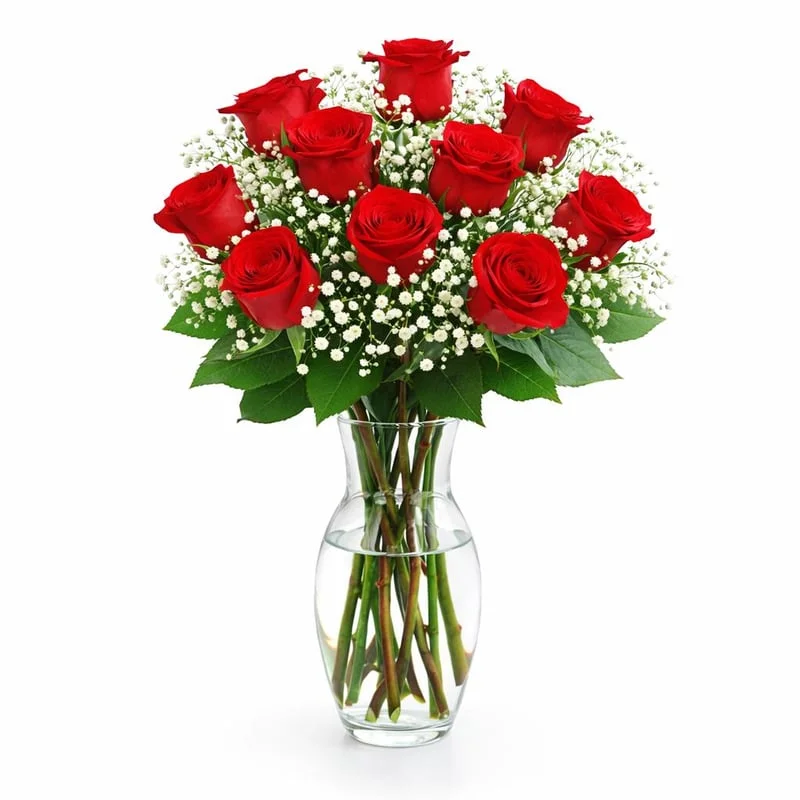 Classic Red Dozen - Premium flower arrangement | Gemma Flowers