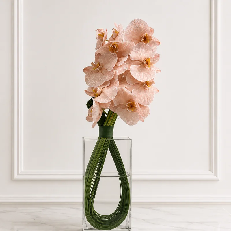 Orange Creamsicle Lux - Premium flower arrangement | Gemma Flowers