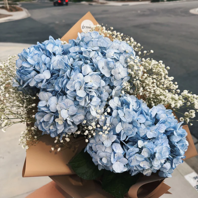 Blue Skies - Premium Birthday & Anniversary & Romance & Congratulations & Just Because & Thank You flower arrangement | Gemma Flowers delivery